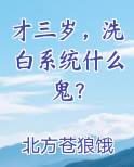 才三岁，洗白系统什么鬼？